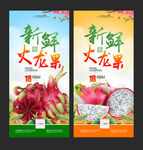 火龙果展架