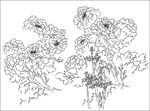 牡丹花背景墙