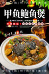 甲鱼鲍鱼煲