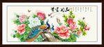 花开富贵孔雀图