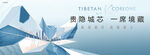 豪宅 高端地产广告