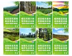 林业护林宣传