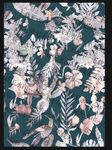 大牌 热带花卉
