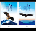 老鹰展翅高飞鹰击长空