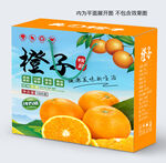 橙子包装设计包装盒平面展开图