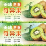 奇异果卡片