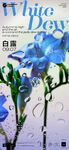 酒吧24节气海报图片