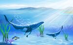 海洋世界