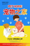 宠物