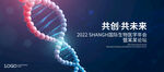 KV 基因链 DNA
