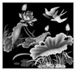 荷花灰度图图片