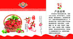 草莓包装箱平面图