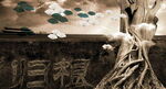 归根