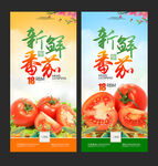 番茄海报