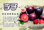 李子海报