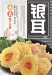 银耳