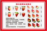 草莓成熟标准