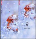 小雪节气海报