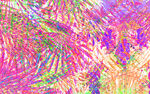 爆款