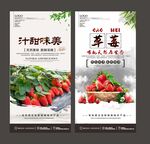 草莓