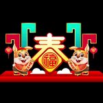 兔年美陈