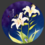 手绘兰花