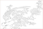 花鸟图 
