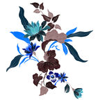 花卉