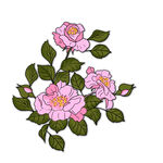 花朵