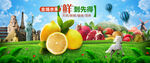 缤纷水果海报