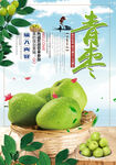青枣