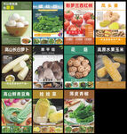 蔬菜海报