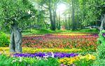 唯美森林大树郁金香花海背景墙