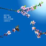 桃花分枝