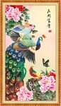 孔雀牡丹图