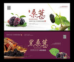 桑葚