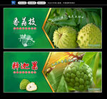 释迦果广告