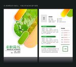 人才简历