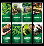茶叶海报