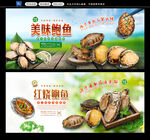 鲍鱼