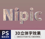 立体字样机