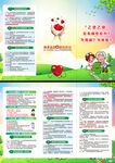 乙类乙管折页