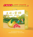 柚子包装 蜜柚礼盒