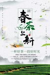 茶香四溢春茶上新宣传海报