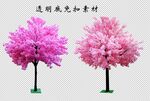 樱花树桃花树
