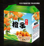 橙子包装设计