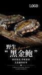 黑金鲍海报