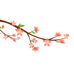 桃花 
