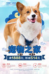 宠物