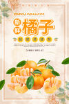美味橘子特惠海报图片